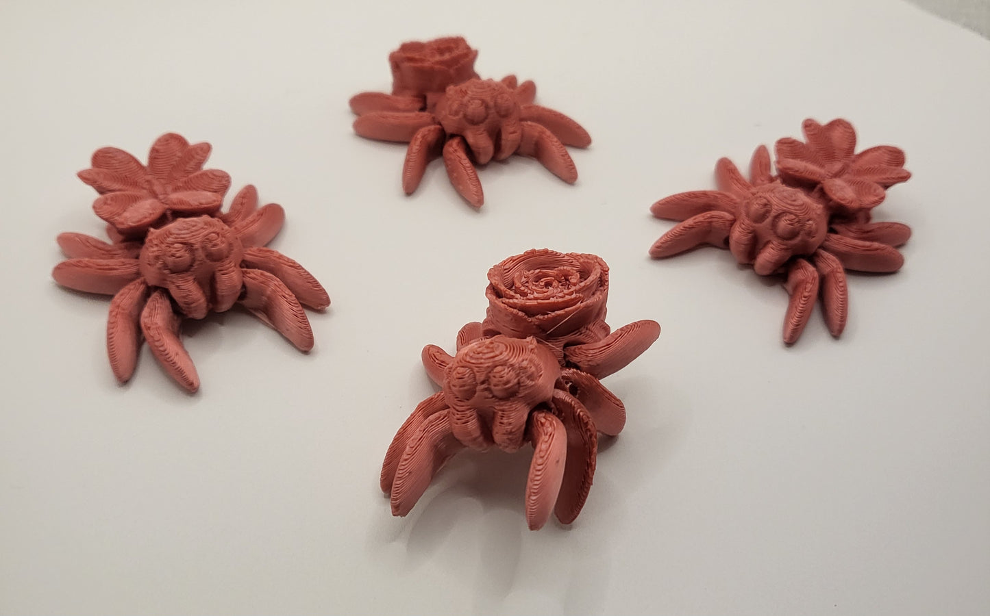 Spiders