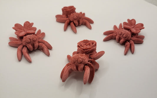 Spiders