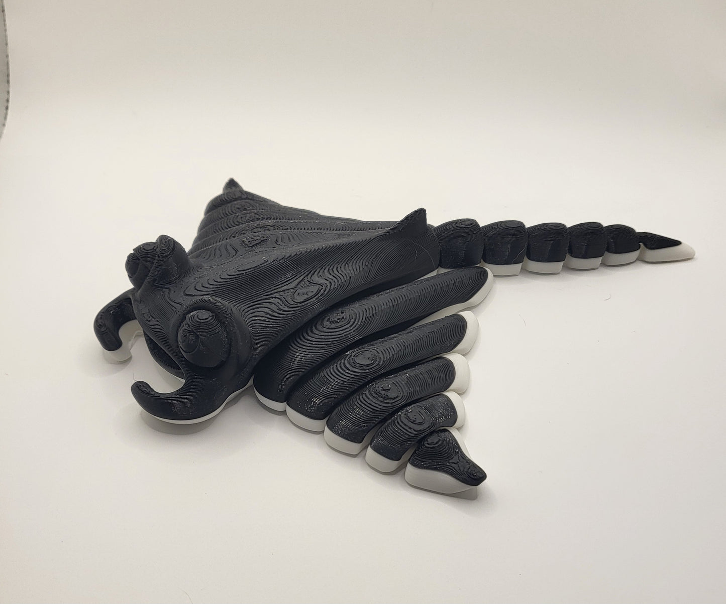 Manta Ray