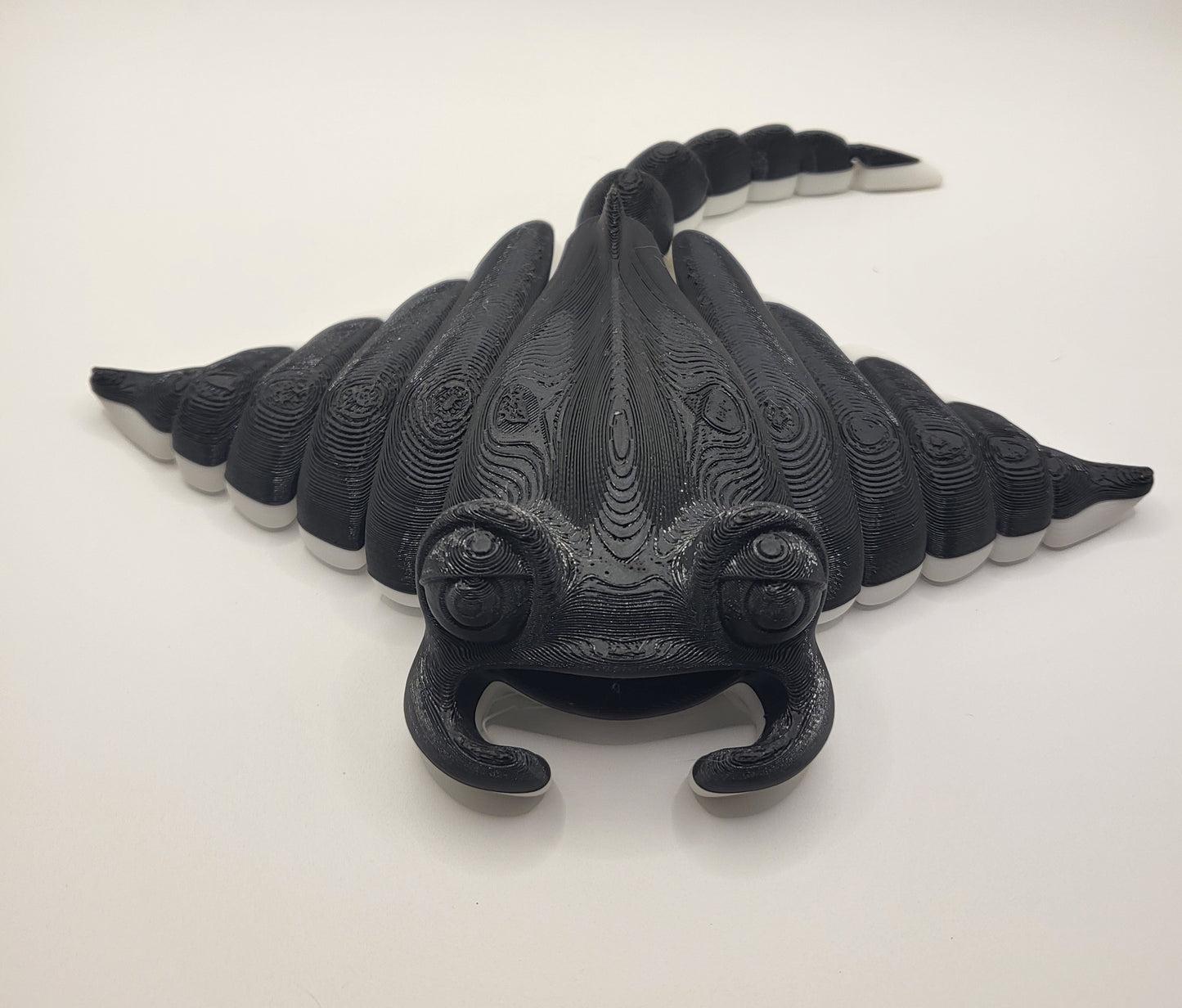 Manta Ray