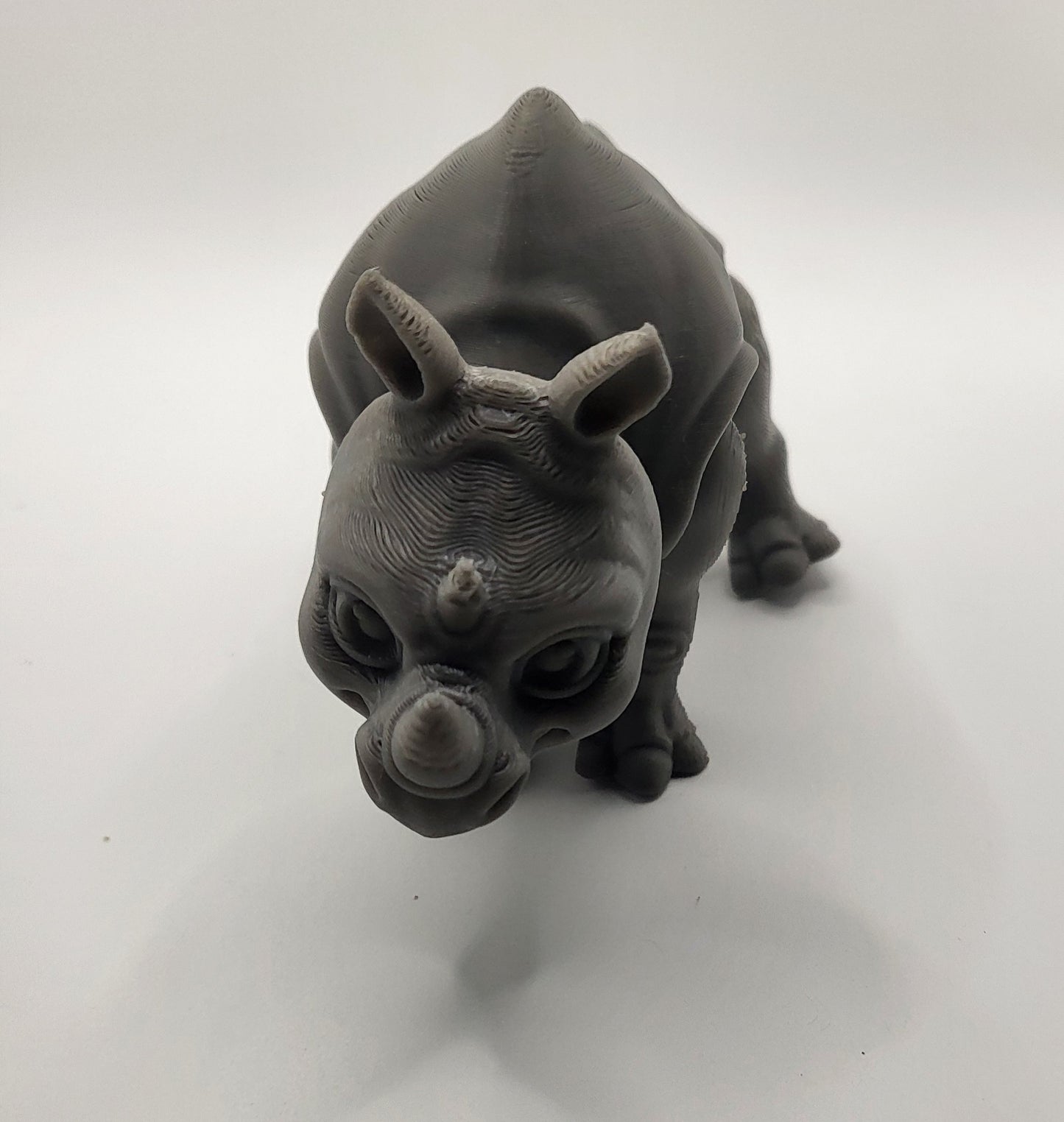 Rhinoceros