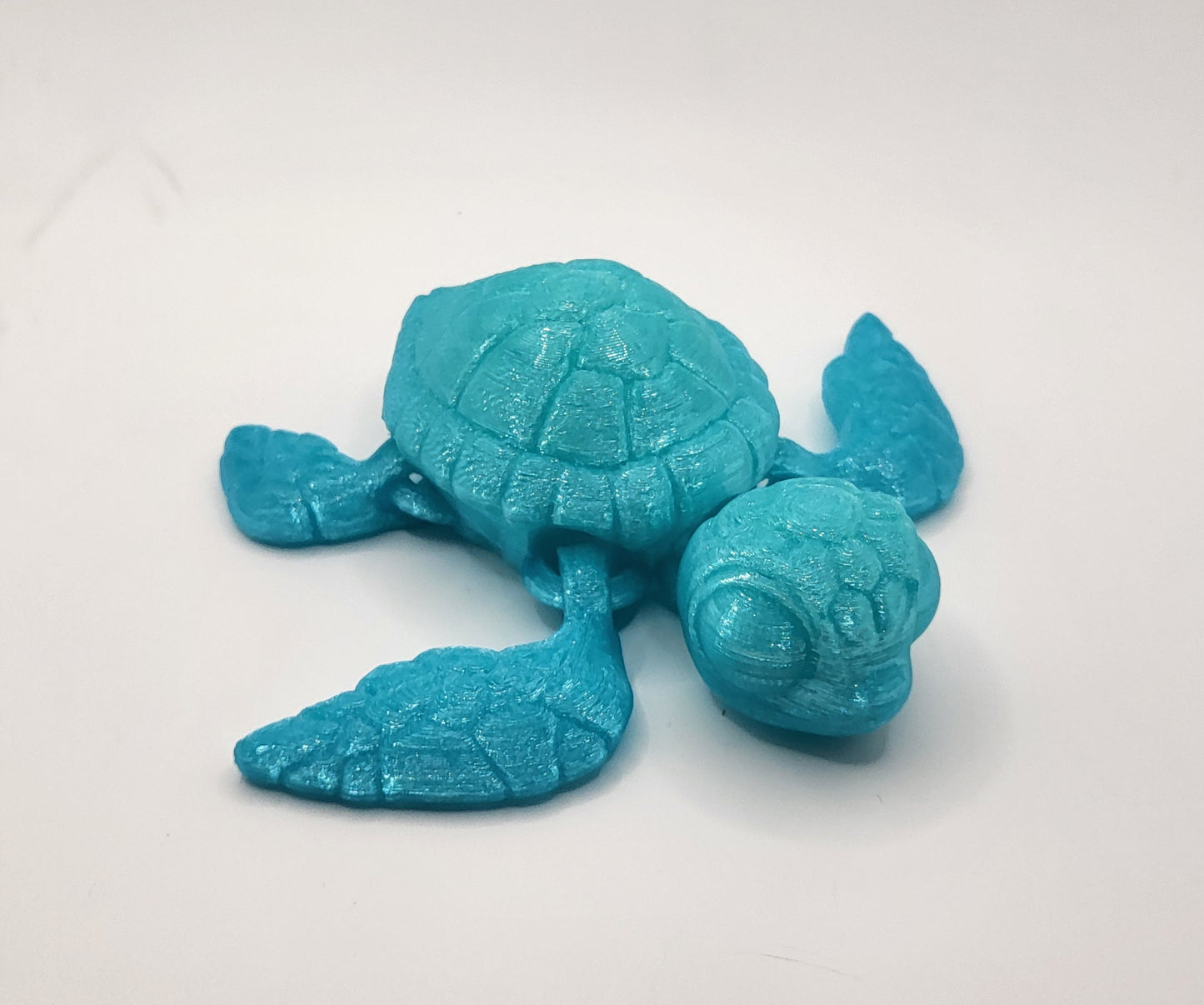 Sea Turtle