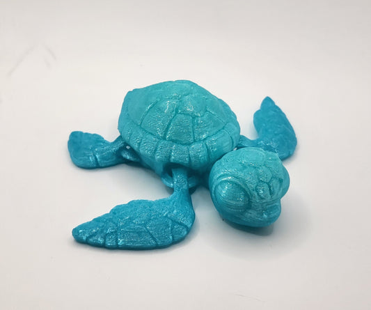 Sea Turtle